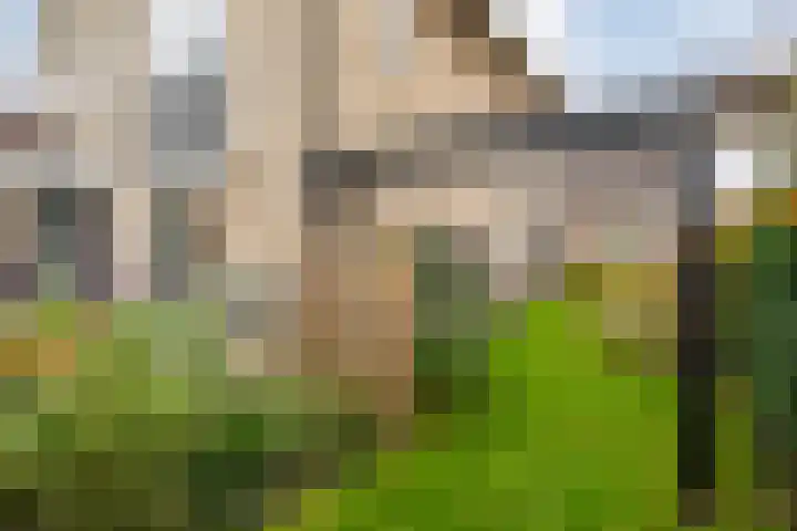 De Rietgans 14 Dedemsvaart thumbnail 48