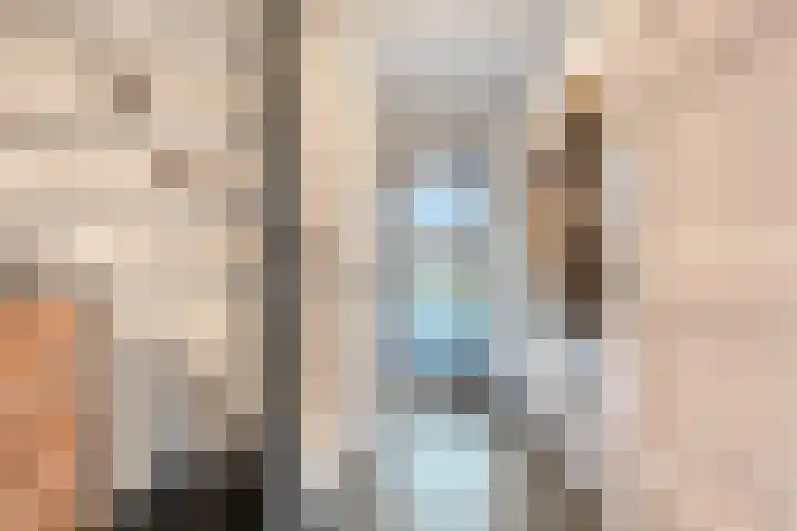De Rietgans 14 Dedemsvaart thumbnail 5