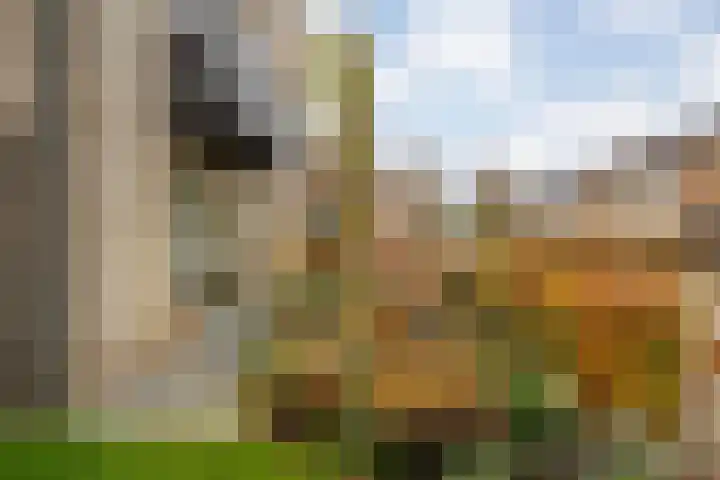 De Rietgans 14 Dedemsvaart thumbnail 51