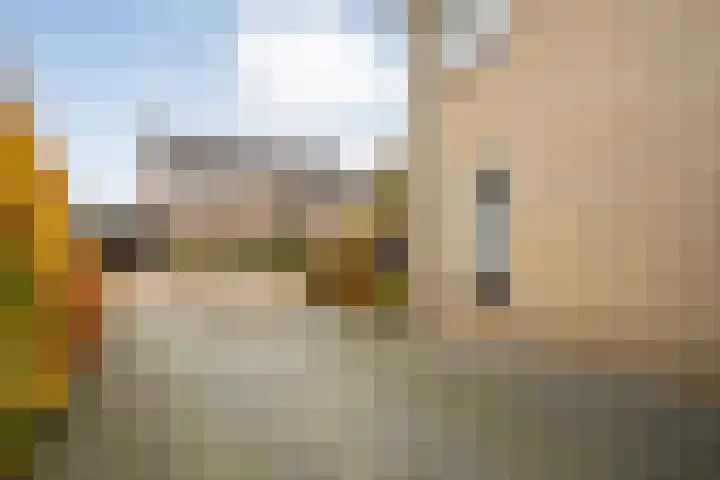 De Rietgans 14 Dedemsvaart thumbnail 52