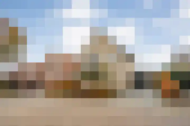 De Rietgans 14 Dedemsvaart thumbnail 54