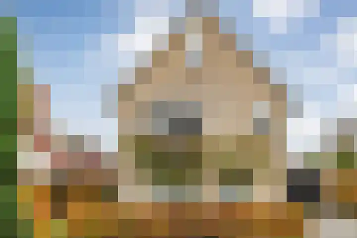 De Rietgans 14 Dedemsvaart thumbnail 55