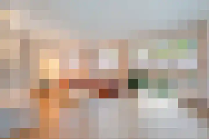 De Rietgans 14 Dedemsvaart thumbnail 7