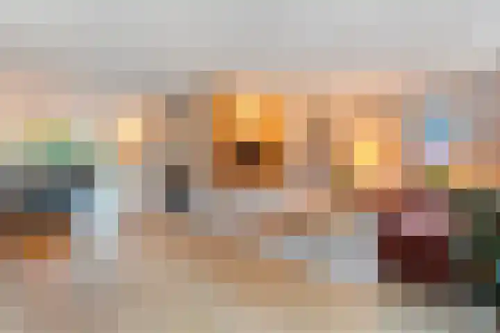 De Rietgans 14 Dedemsvaart thumbnail 8