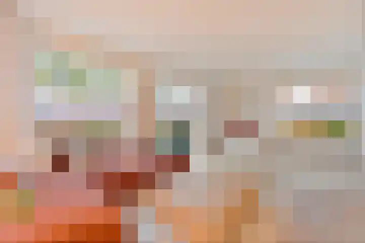De Rietgans 14 Dedemsvaart thumbnail 9