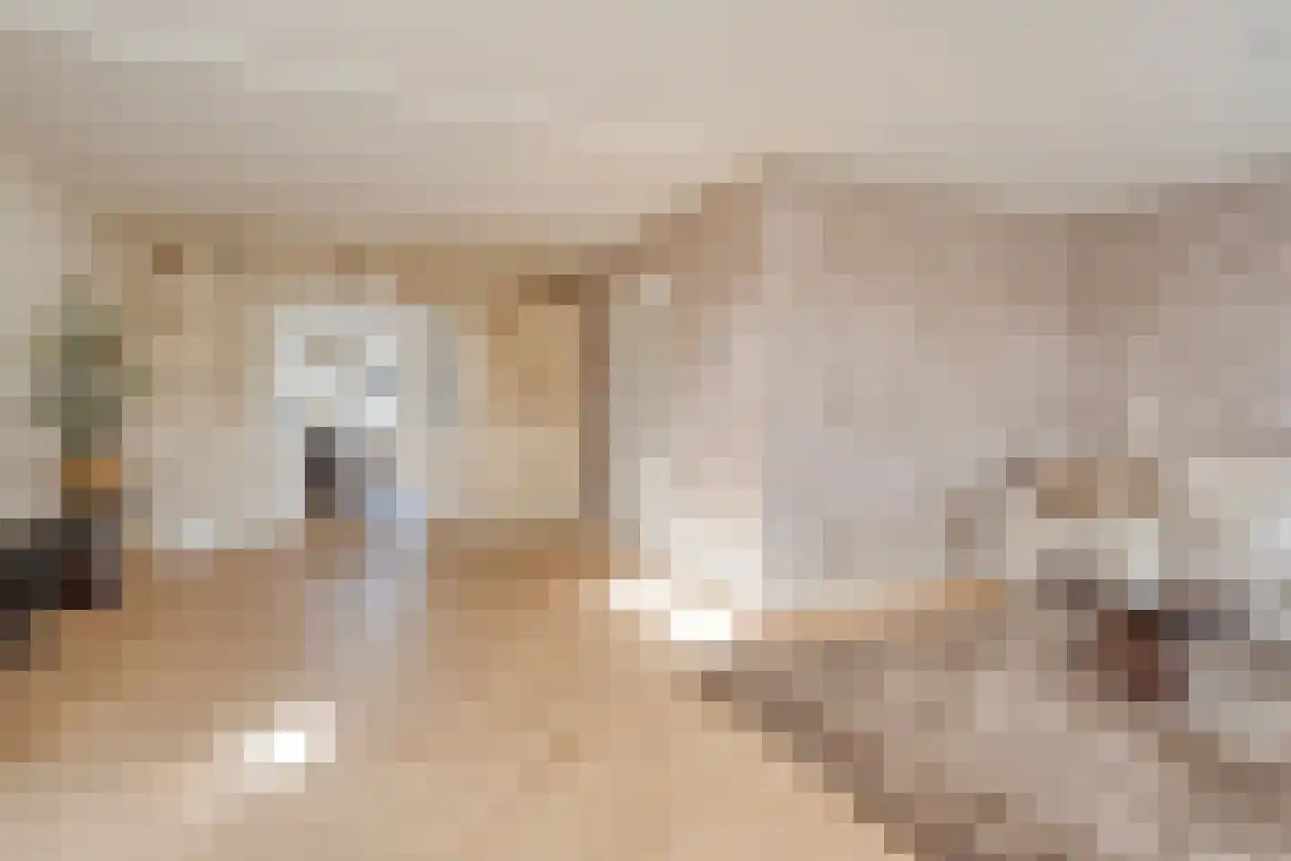 De Rietgans 16 Dedemsvaart thumbnail 11