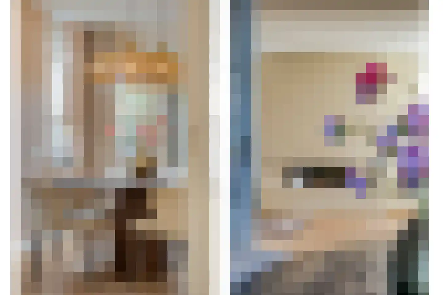 De Rietgans 16 Dedemsvaart thumbnail 14