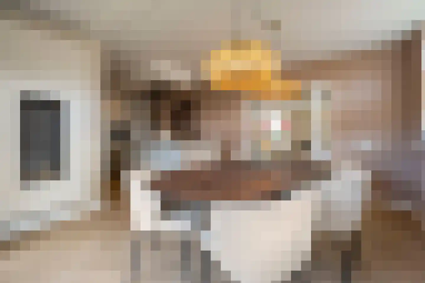 De Rietgans 16 Dedemsvaart thumbnail 15