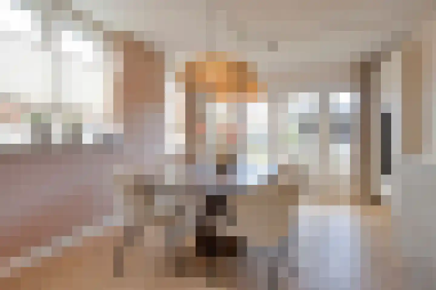 De Rietgans 16 Dedemsvaart thumbnail 16