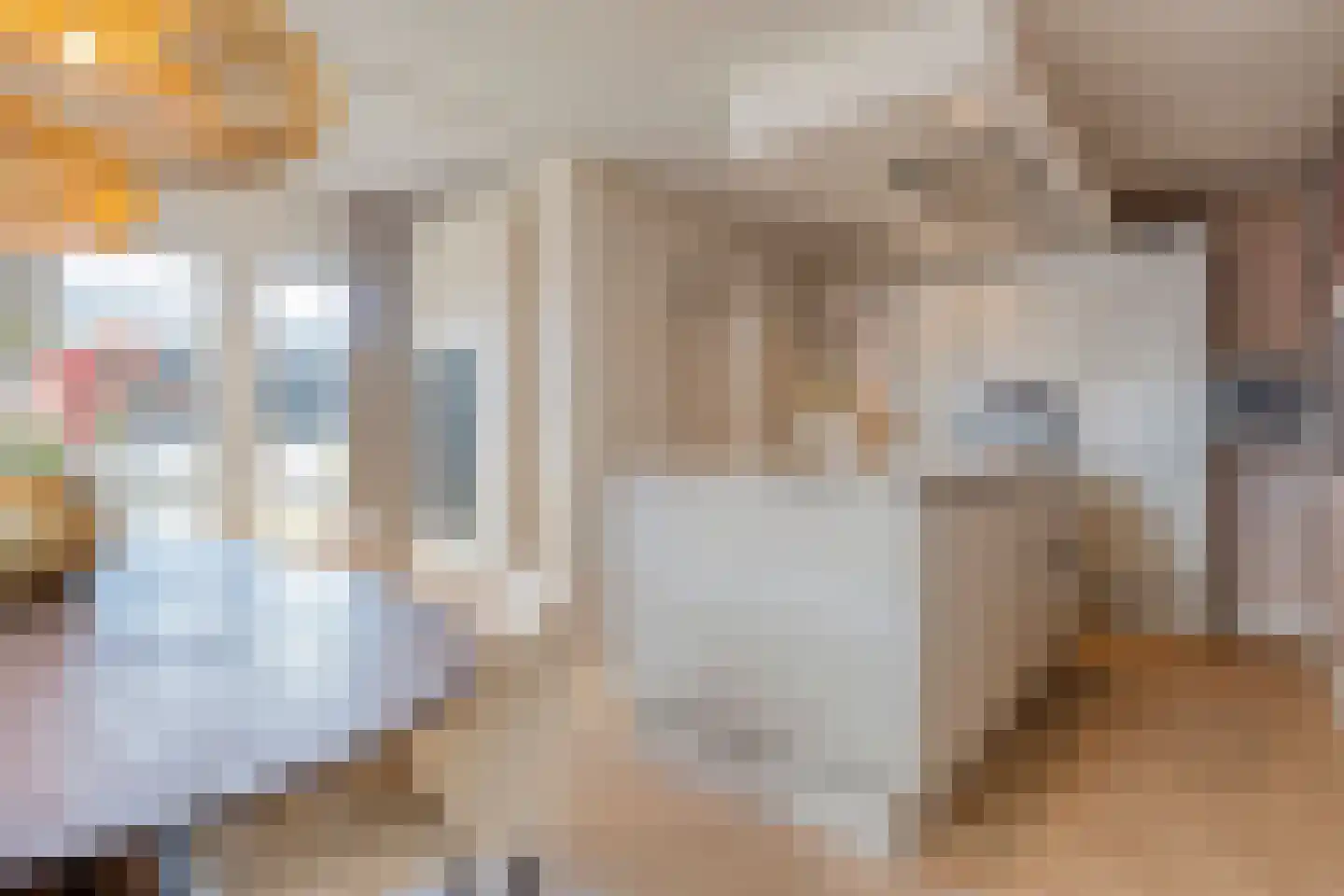 De Rietgans 16 Dedemsvaart thumbnail 17