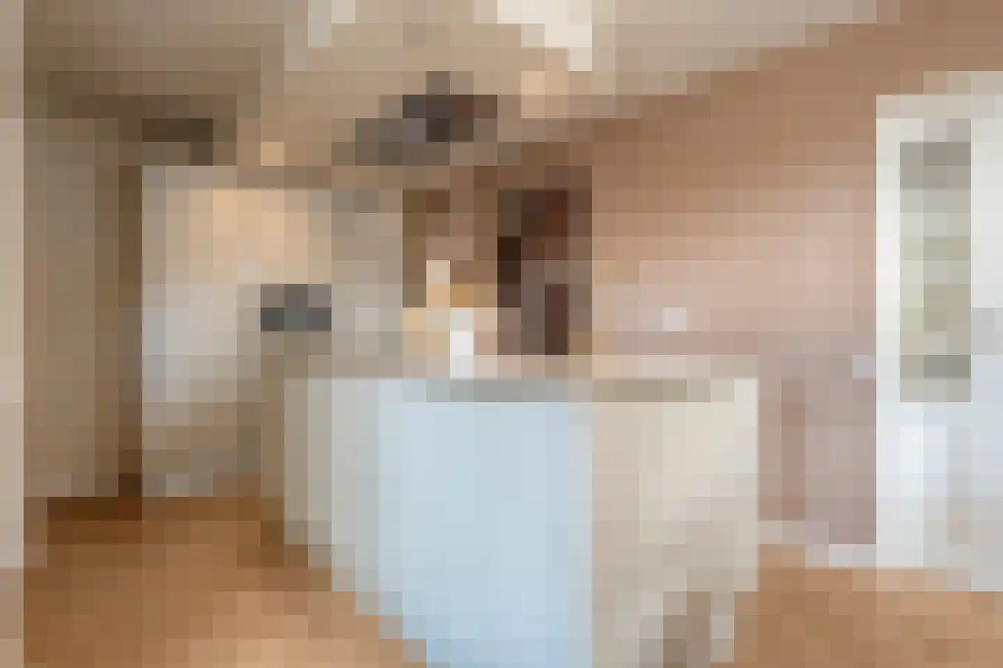 De Rietgans 16 Dedemsvaart thumbnail 18
