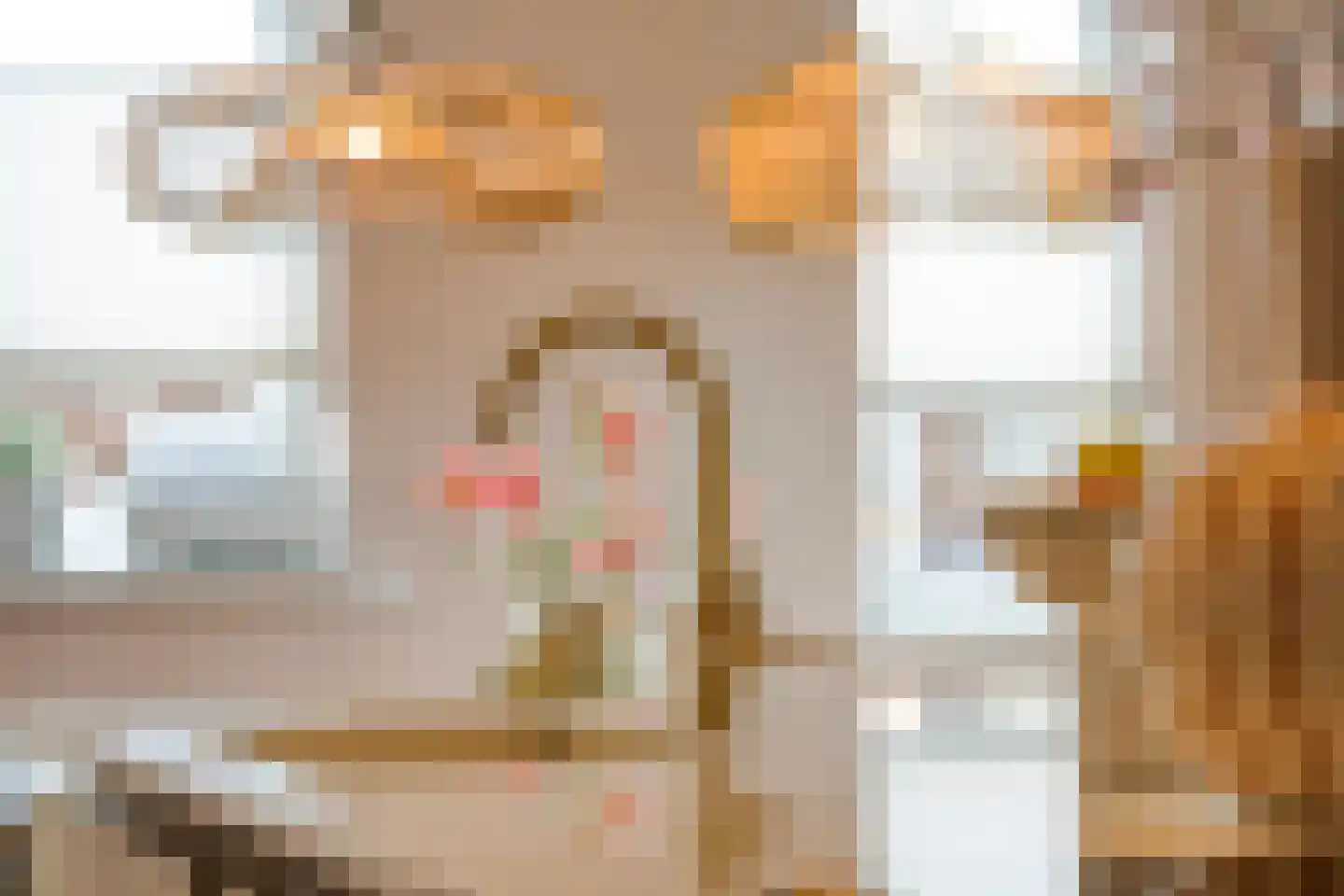 De Rietgans 16 Dedemsvaart thumbnail 19