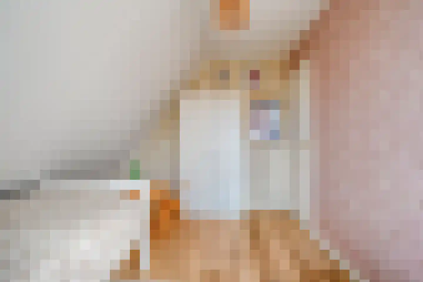 De Rietgans 16 Dedemsvaart thumbnail 28