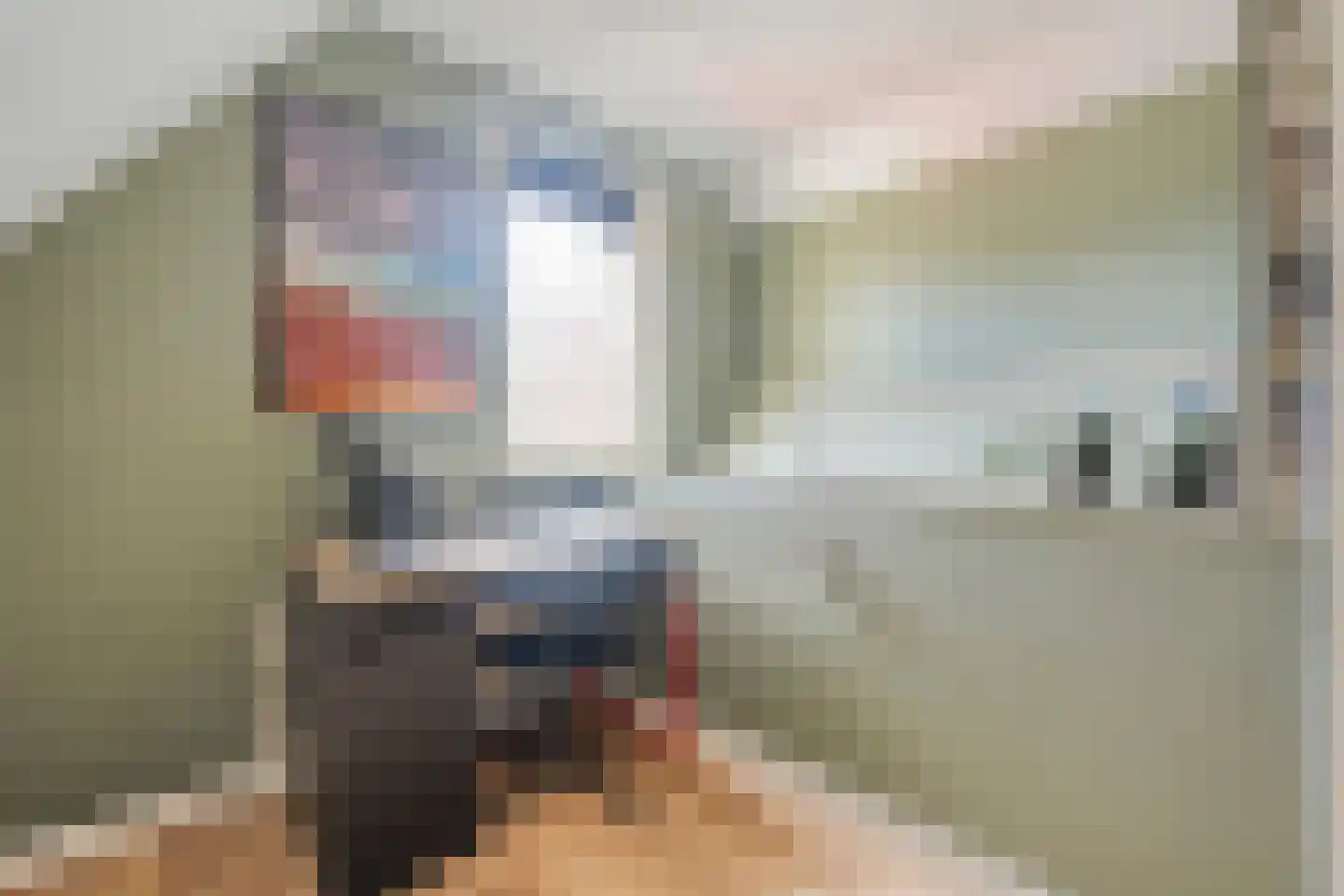 De Rietgans 16 Dedemsvaart thumbnail 29