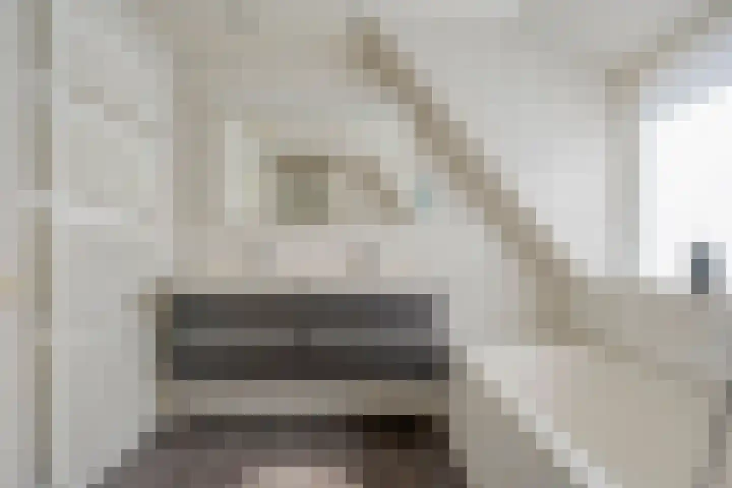 De Rietgans 16 Dedemsvaart thumbnail 34