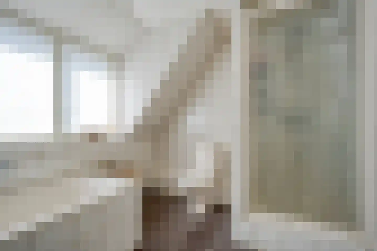 De Rietgans 16 Dedemsvaart thumbnail 35