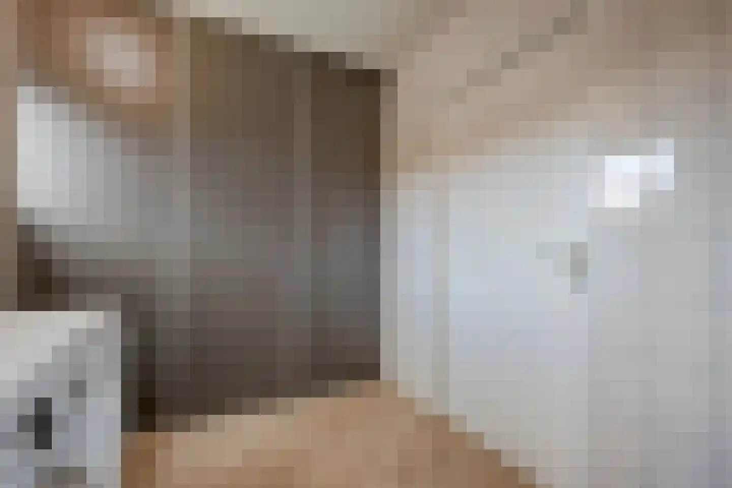 De Rietgans 16 Dedemsvaart thumbnail 36