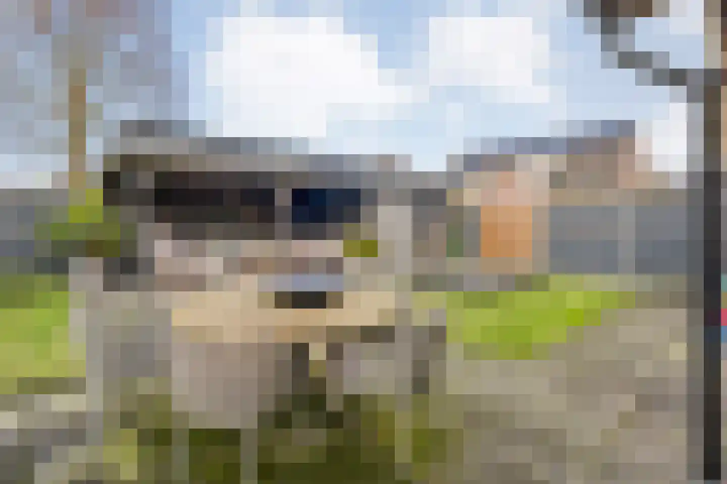De Rietgans 16 Dedemsvaart thumbnail 38