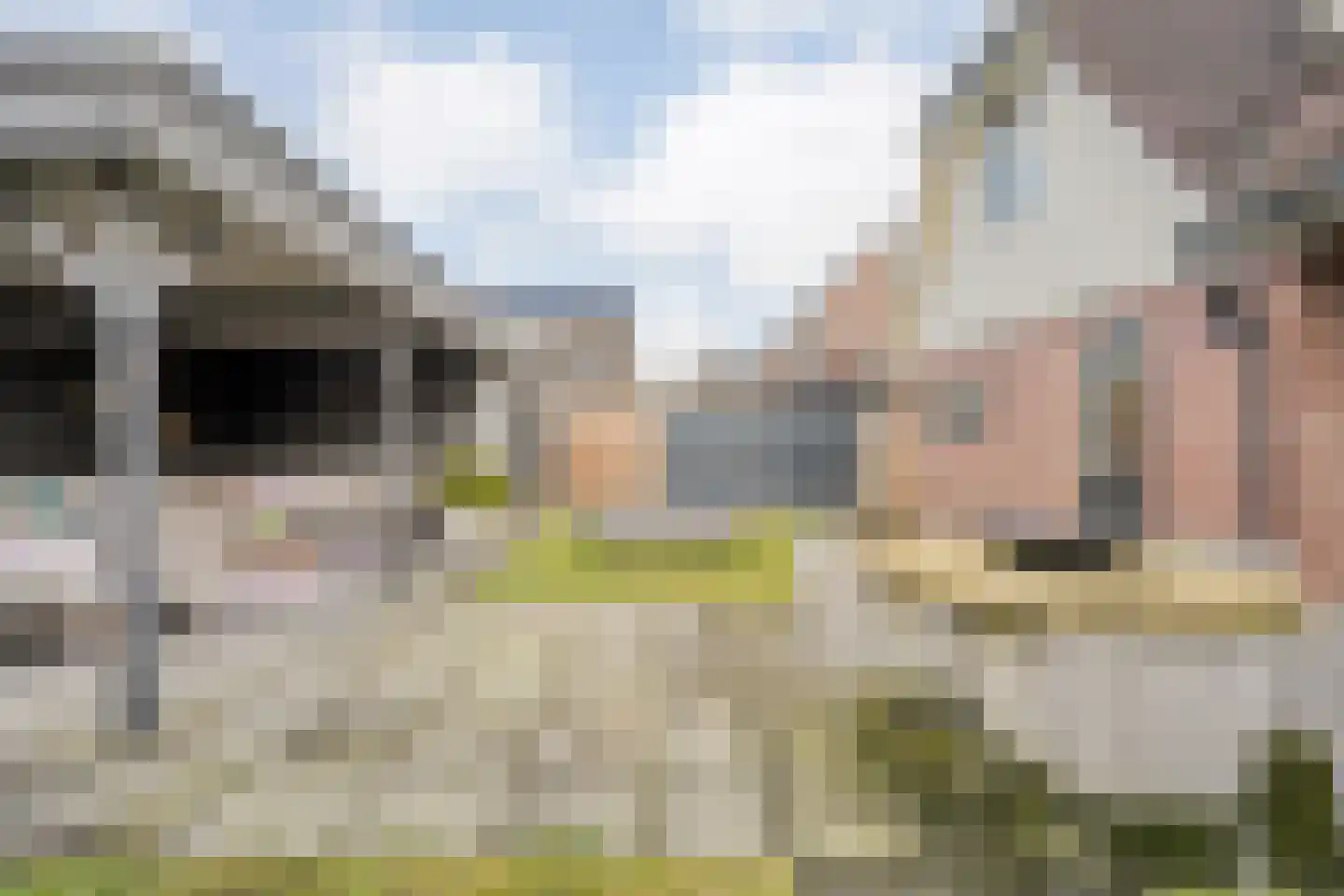 De Rietgans 16 Dedemsvaart thumbnail 39