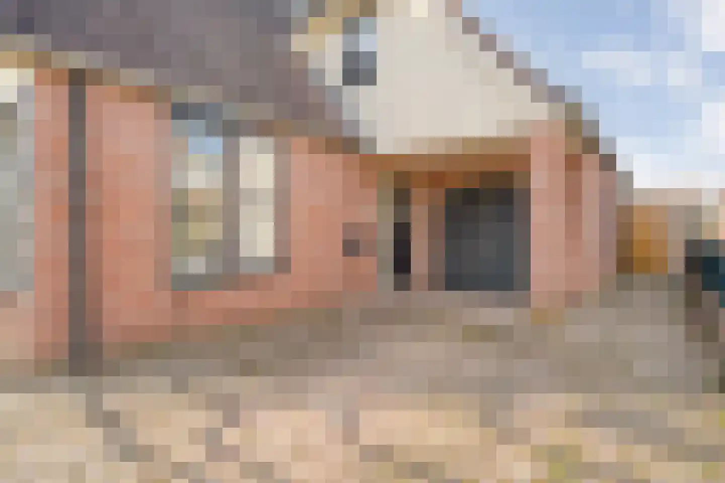 De Rietgans 16 Dedemsvaart thumbnail 4