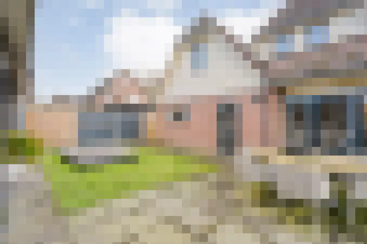 De Rietgans 16 Dedemsvaart thumbnail 40