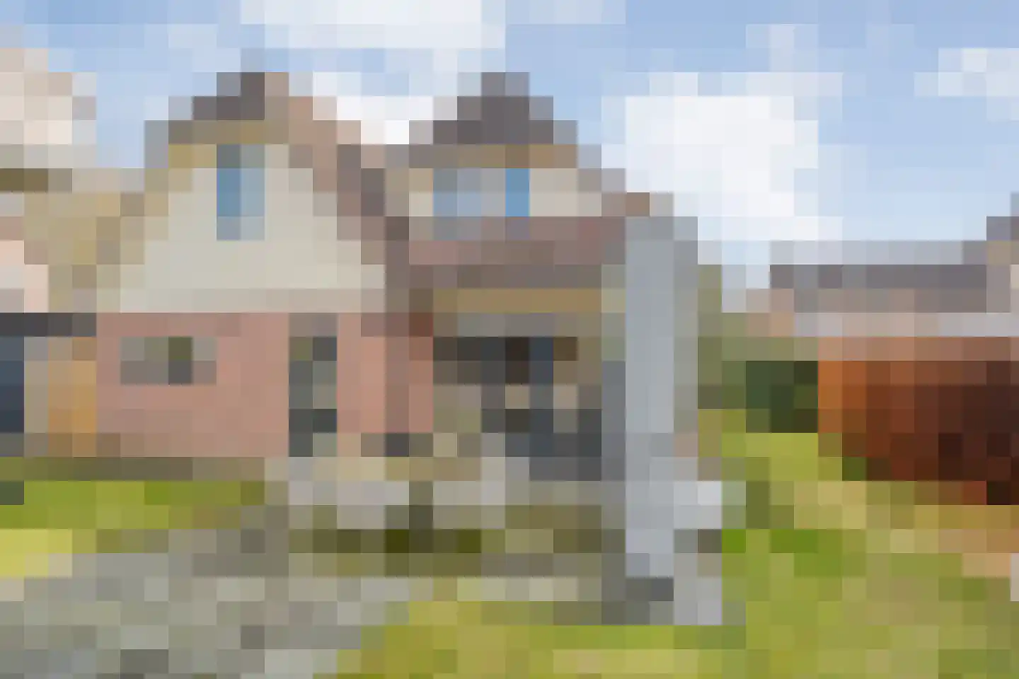 De Rietgans 16 Dedemsvaart thumbnail 45