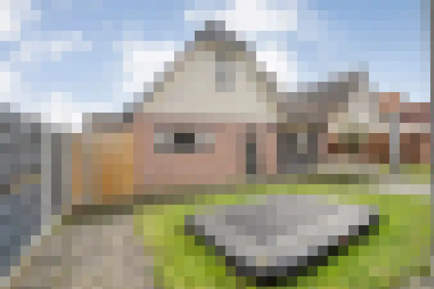 De Rietgans 16 Dedemsvaart thumbnail 47