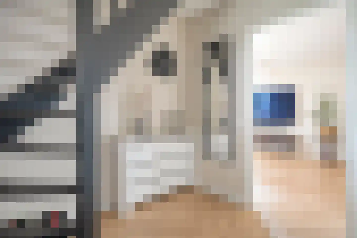De Rietgans 16 Dedemsvaart thumbnail 5