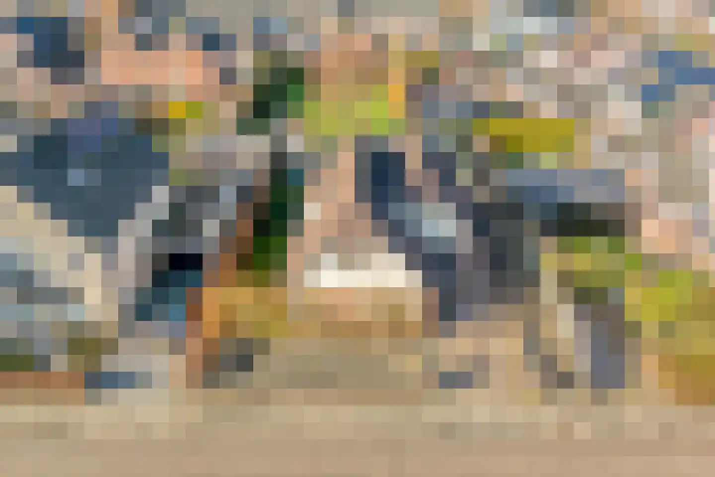 De Rietgans 16 Dedemsvaart thumbnail 50