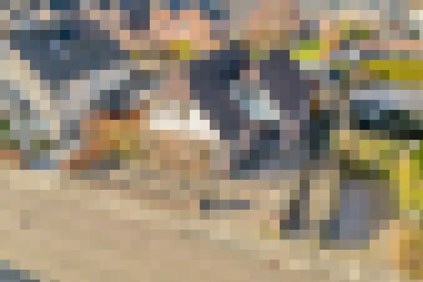 De Rietgans 16 Dedemsvaart thumbnail 51