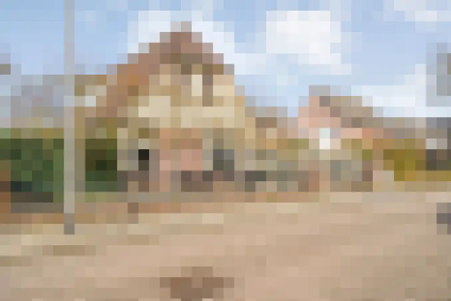 De Rietgans 16 Dedemsvaart thumbnail 54
