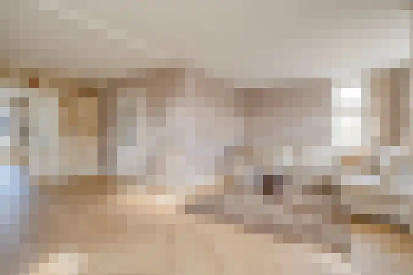 De Rietgans 16 Dedemsvaart thumbnail 7