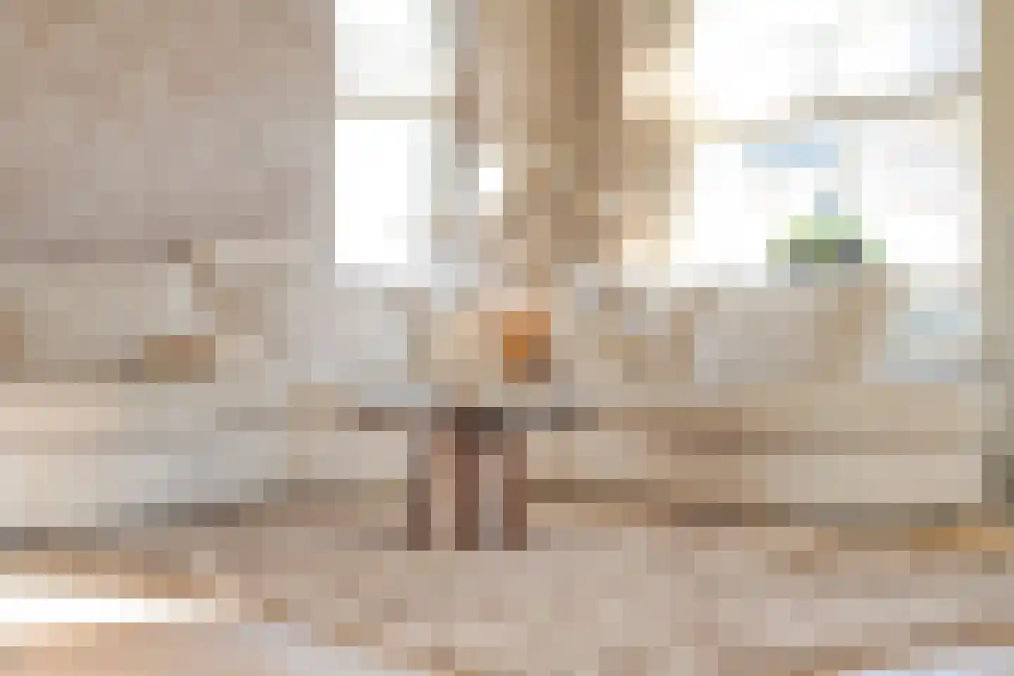 De Rietgans 16 Dedemsvaart thumbnail 9