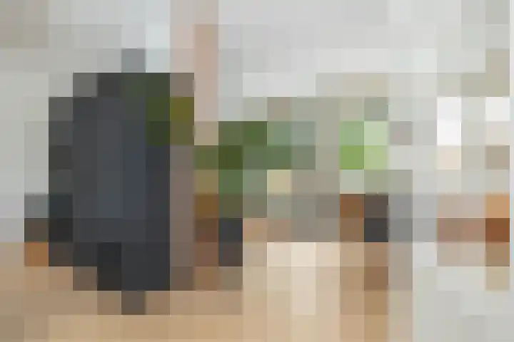 De Rietgans 9 Hoogeveen thumbnail 10