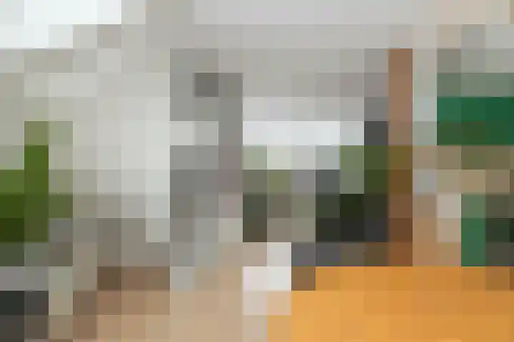 De Rietgans 9 Hoogeveen thumbnail 11