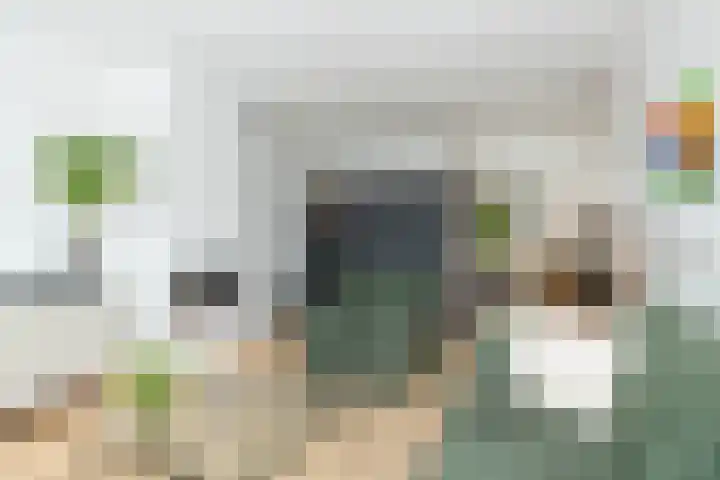 De Rietgans 9 Hoogeveen thumbnail 15