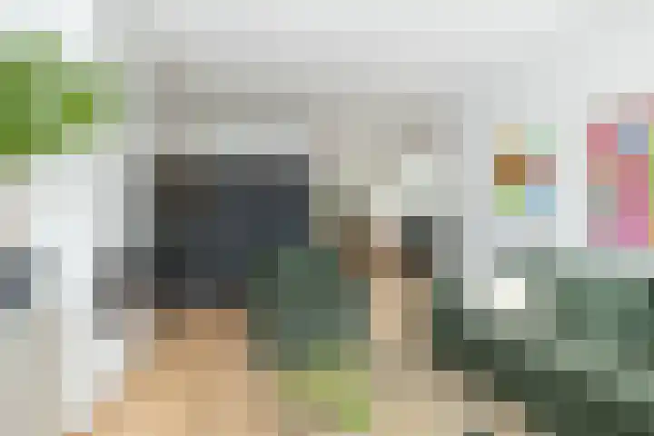 De Rietgans 9 Hoogeveen thumbnail 17