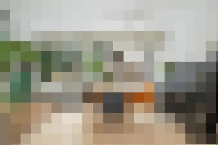 De Rietgans 9 Hoogeveen thumbnail 18