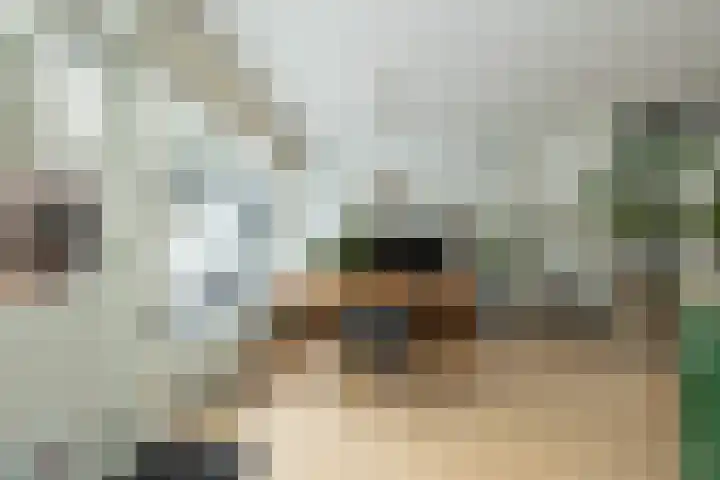 De Rietgans 9 Hoogeveen thumbnail 19