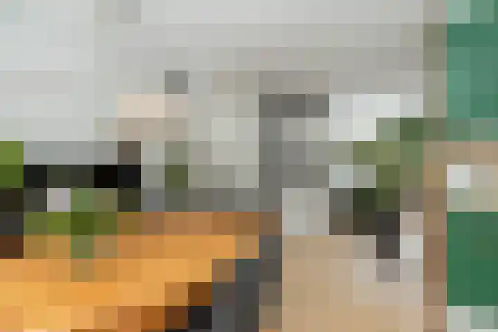 De Rietgans 9 Hoogeveen thumbnail 23