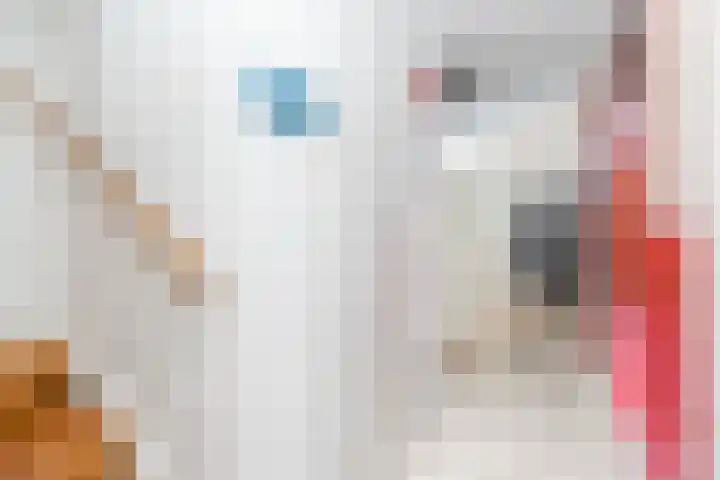 De Rietgans 9 Hoogeveen thumbnail 24