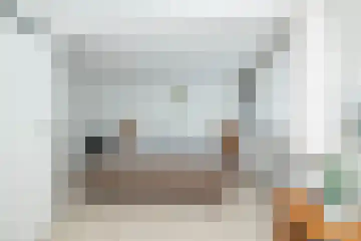 De Rietgans 9 Hoogeveen thumbnail 26