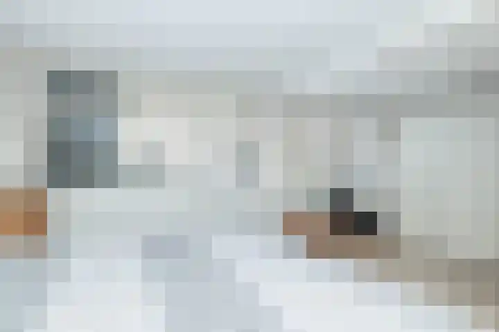 De Rietgans 9 Hoogeveen thumbnail 28