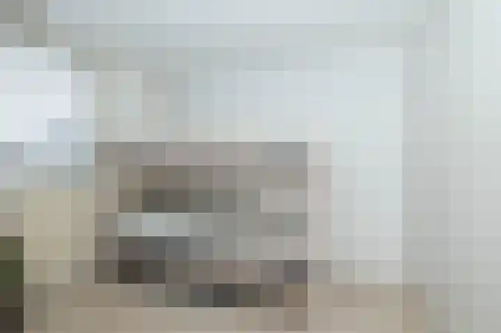 De Rietgans 9 Hoogeveen thumbnail 30