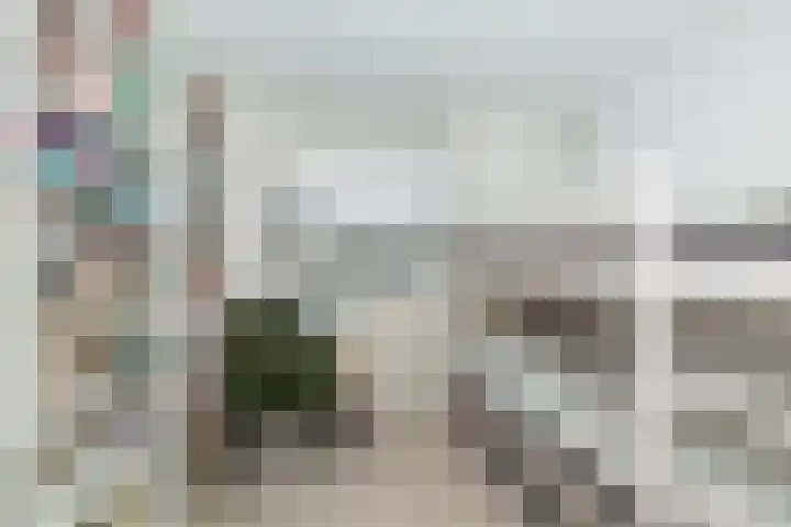 De Rietgans 9 Hoogeveen thumbnail 31