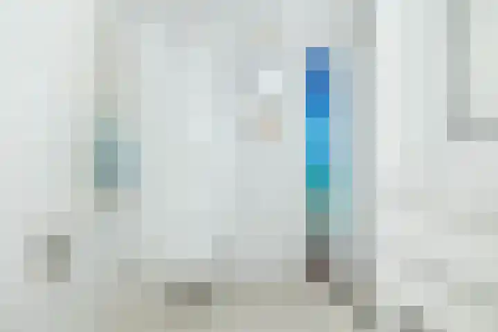 De Rietgans 9 Hoogeveen thumbnail 35