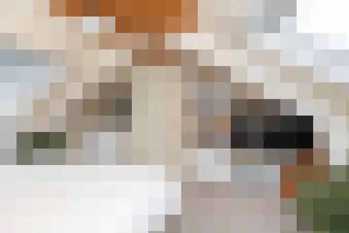 De Rietgans 9 Hoogeveen thumbnail 42