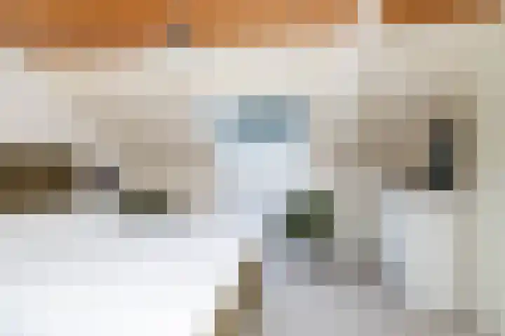 De Rietgans 9 Hoogeveen thumbnail 43