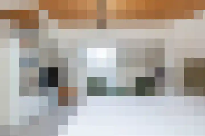 De Rietgans 9 Hoogeveen thumbnail 44