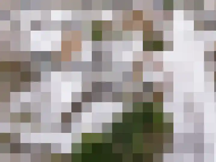 De Rietgans 9 Hoogeveen thumbnail 45